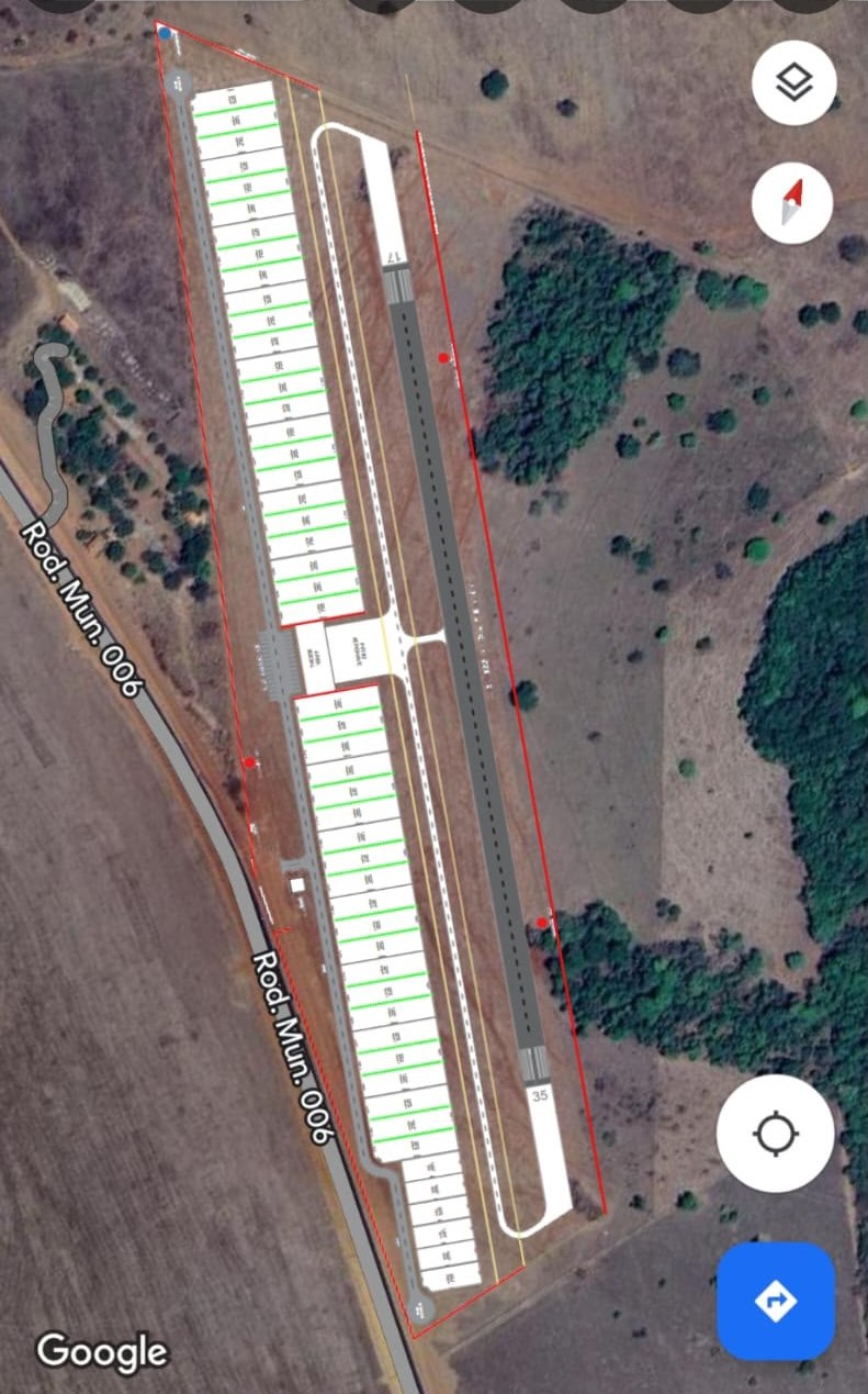 Galeria 11